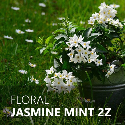 JASMINE MINT 2Z / 자스민 민트
