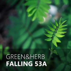 FALLING 53A / 폴링