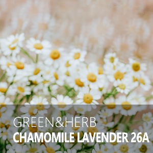 CHAMOMILE LAVENDER 26A / 캐모마일 라벤더