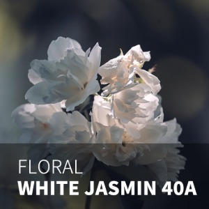 WHITE JASMINE 40A / 화이트 자스민