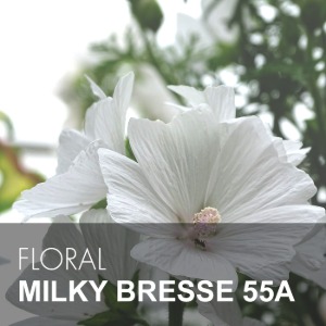 MILKY BRESSE 55A / 밀키 브레스